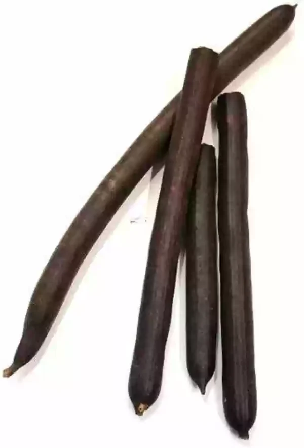 Golden Shower Tree (Cassia fistula) Herbs گیاه فولوس Attari